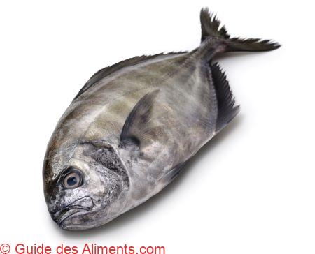 carangue &agrave; langue blanche ( Uraspis helvola )