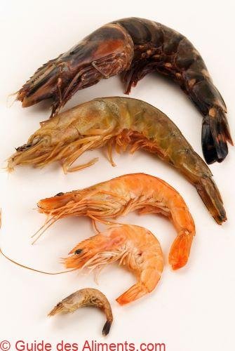 crevettes assortiment crustacés