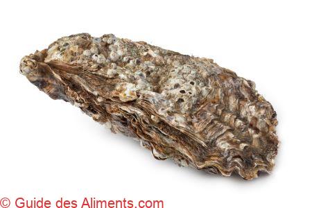 hu&icirc;tre creuse du Pacifique