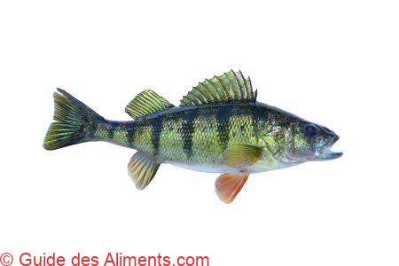 perchaude (Perca flavescens)