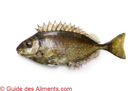 Poisson-lapin &agrave; point nacr&eacute; (Siganus fuscescens)