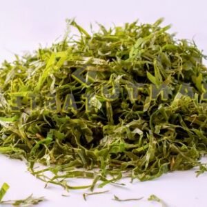 Gnetum africanum