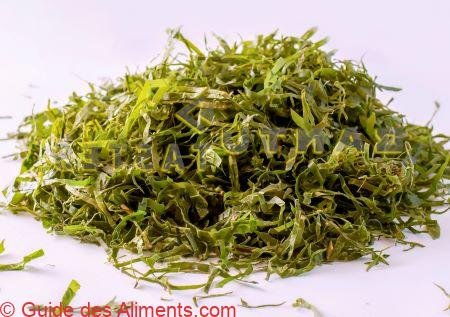Gnetum africanum