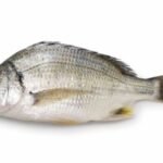 dorade à nageoires jaunes