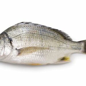 dorade &agrave; nageoires jaunes