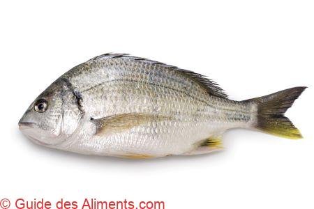 dorade à nageoires jaunes