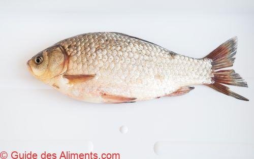Carassin commun (Carassius carassius)