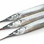 Demi-bec japonais, sayori