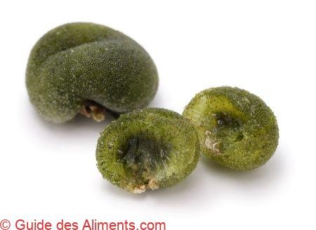 codium minus (appelée Tamamiru au Japon)