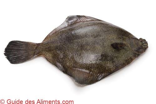 flet à oeil strié ( Pleuronichthys cornutus )