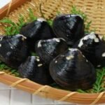 palourde bleue japonaise