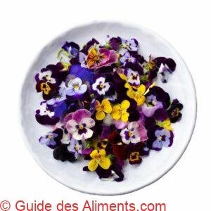 pensée des champs ou la violette des champs (Viola arvensis)