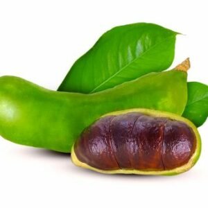Pithecellobium bubalinum