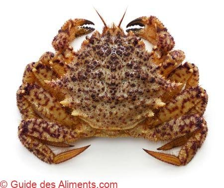 kurigani ou helmet crab