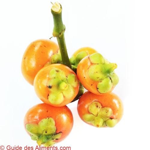 mangoustan bouton