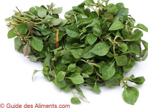 Alternanthera sessilis