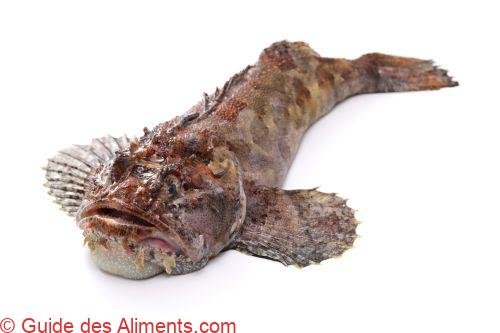 Cottidés ou Sculpin ou Kajika au japon