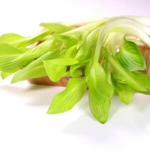 Légumes japonais Urui