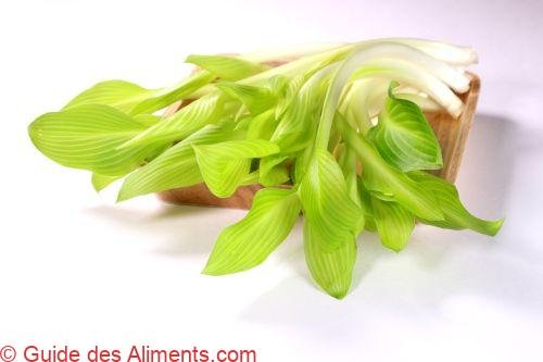 Légumes japonais Urui