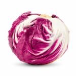 Radicchio