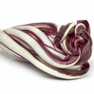 Radicchio Rosso di Treviso