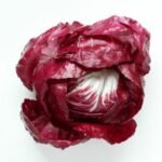 Radicchio di Chioggia IGP
