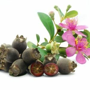Rhodomyrtus tomentosa