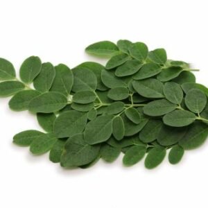feuilles de moringa