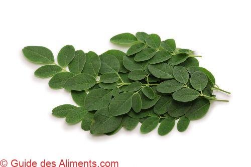 feuilles de moringa