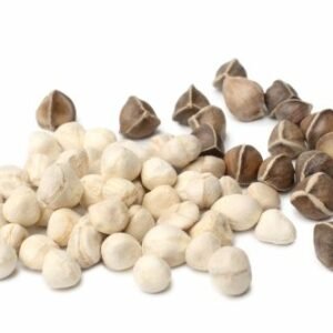 graines de moringa