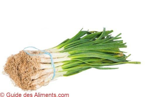 Calçot