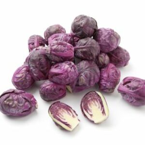 Chou de Bruxelles violet