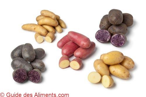 Variété de pommes de terre anciennes