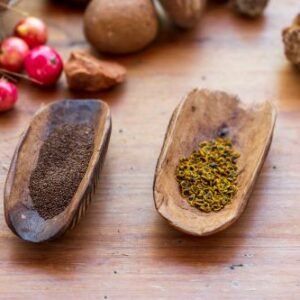bushfood