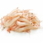 crevette shiraebi ou shiroebi