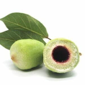 kakada plum (Terminalia ferdinandiana)
