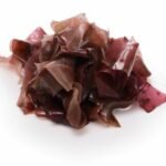 dulse