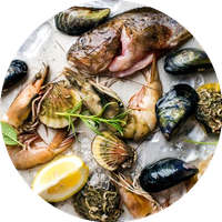 Poissons, Crustacés et Mollusques