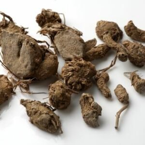 Curcuma noir (Curcuma caesia)