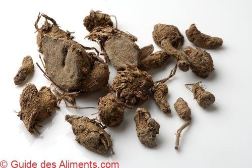 Curcuma noir (Curcuma caesia)