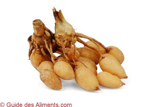 zédoaire (Curcuma zedoaria)