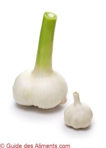 ail éléphant ( Allium ampeloprasum var. ampeloprasum )