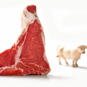 Bifteck à la florentine Chianina