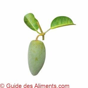 Bush banana