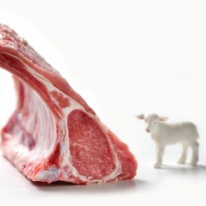 Côtes d'agneau, viande crue