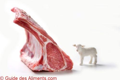 Côtes d'agneau, viande crue