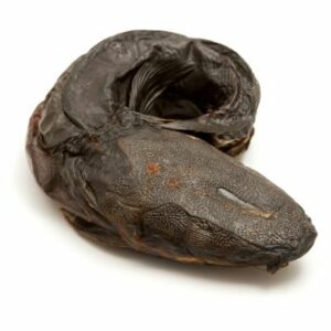 poisson-chat séché