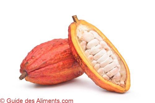 Cacao Criollo