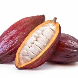 Cacao Trinitario