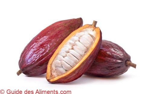 Cacao Trinitario